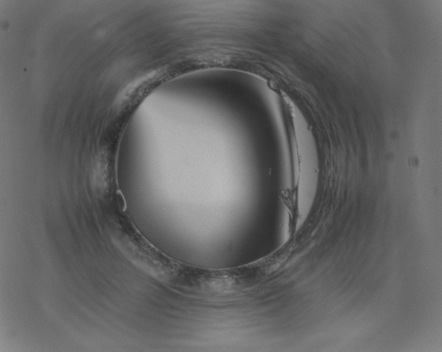 X0000077380600200611031938