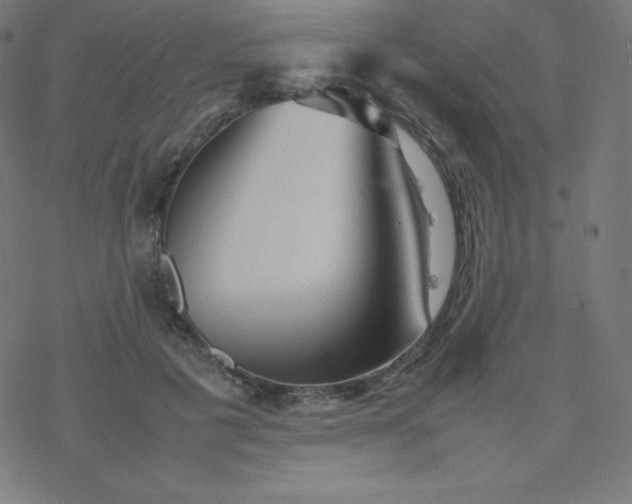 X0000077380601200611031938