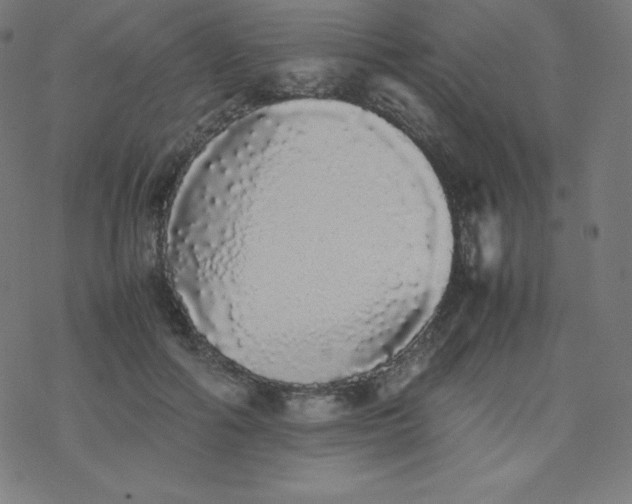 X0000077380602200611031938