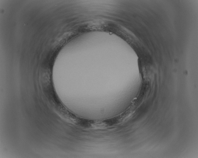 X0000077380603200611031938