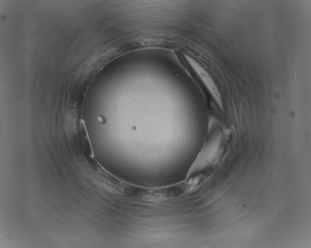 X0000077380604200611031938