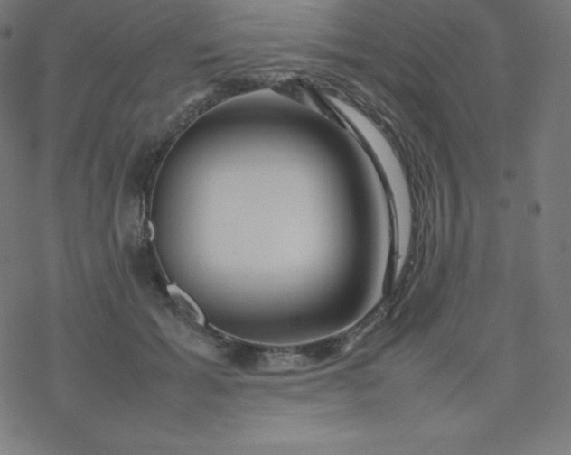 X0000077380605200611031938