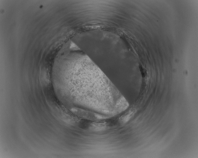 X0000077380606200611031938