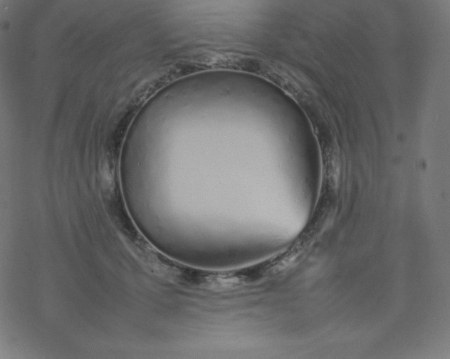 X0000077380607200611031938