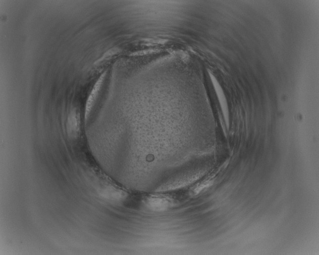 X0000077380608200611031938