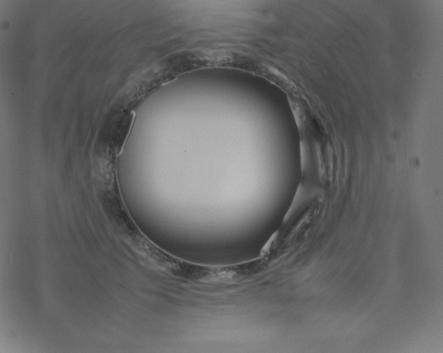 X0000077380609200611031938