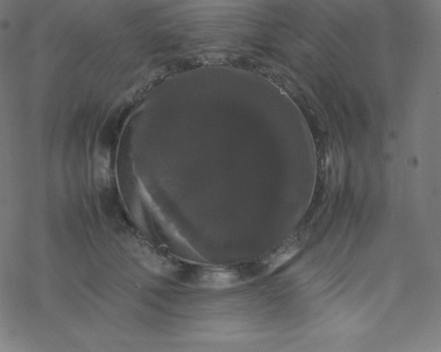 X0000077380610200611031938