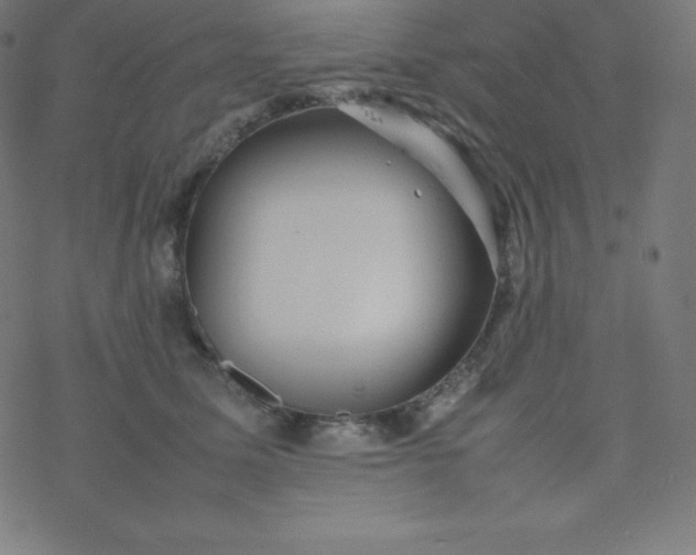 X0000077380611200611031938