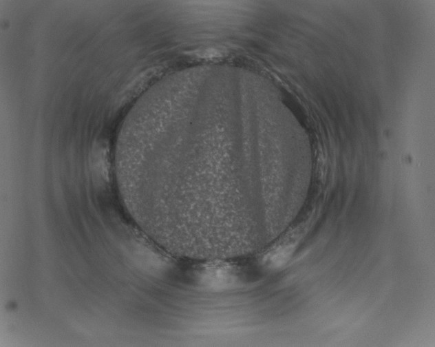 X0000077380612200611031938