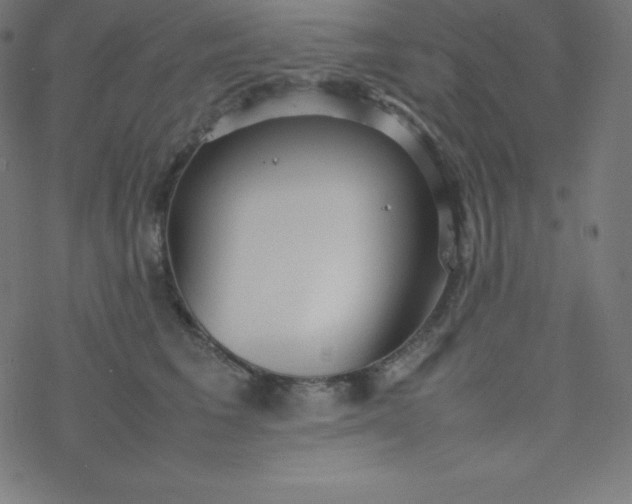 X0000077380613200611031938