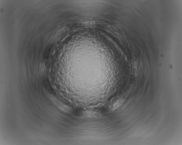 X0000077380614200611031938