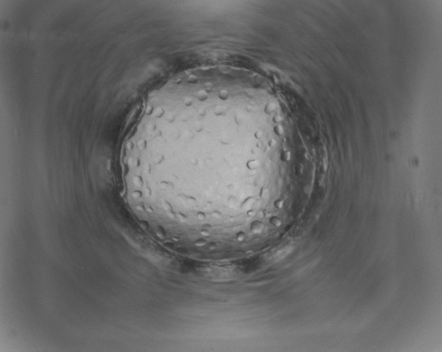 X0000077380615200611031938