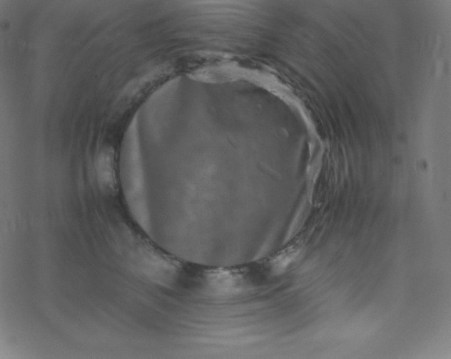 X0000077380616200611031938