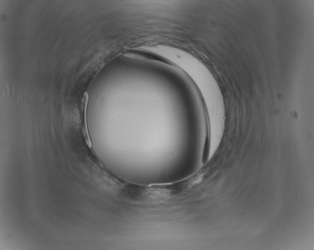 X0000077380617200611031938