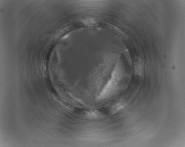 X0000077380618200611031938