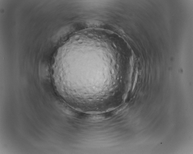 X0000077380619200611031938