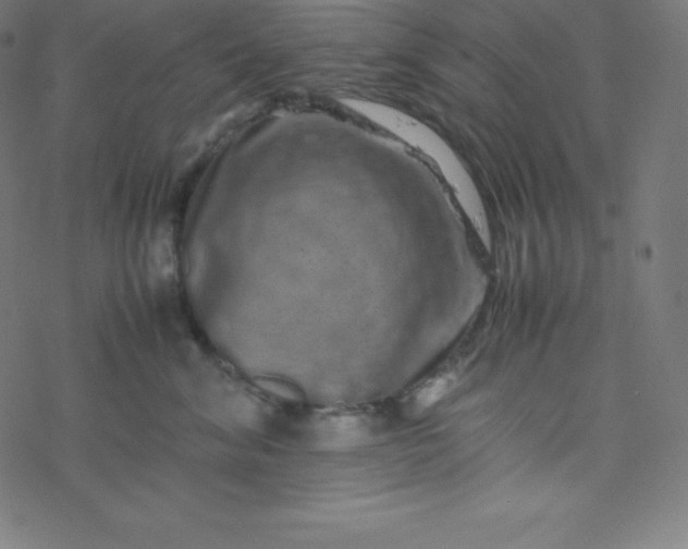 X0000077380620200611031938