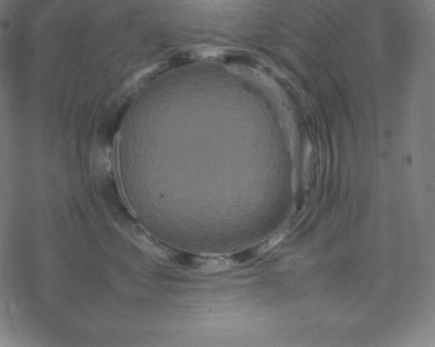 X0000077380621200611031938