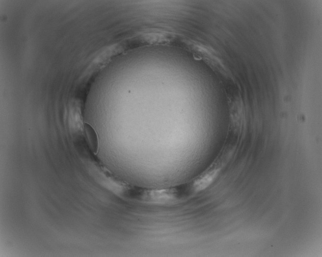 X0000077380622200611031938