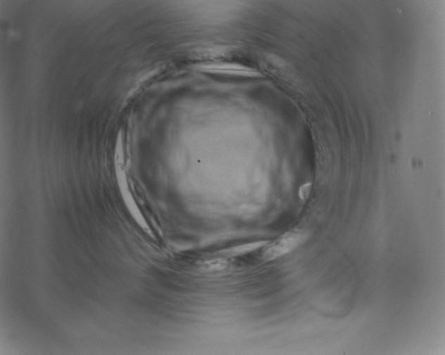 X0000077380624200611031938