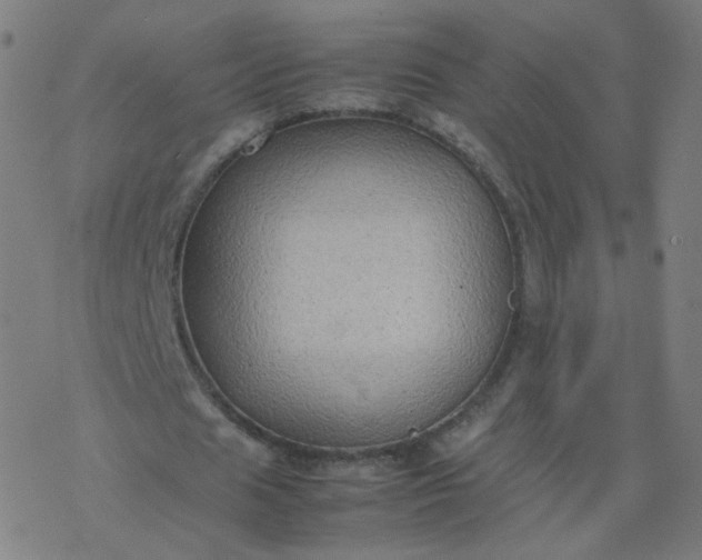 X0000077380625200611031937