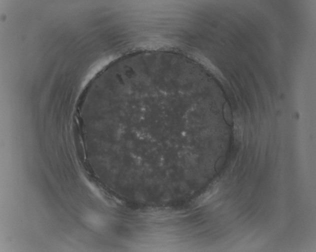 X0000077380626200611031937