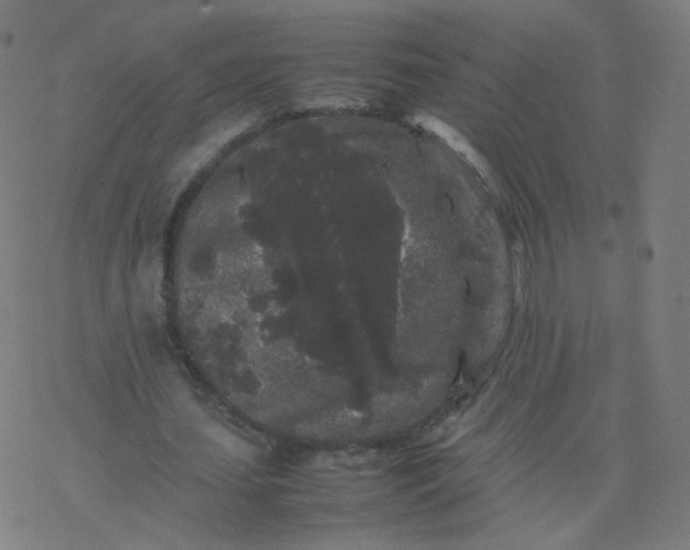 X0000077380627200611031937