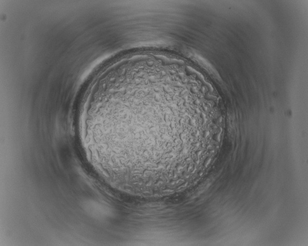 X0000077380628200611031937