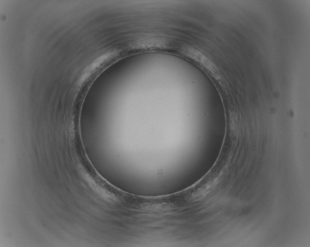 X0000077380629200611031937