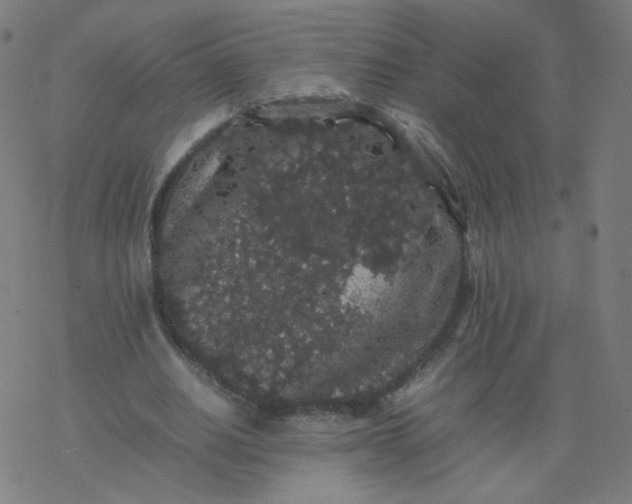 X0000077380630200611031937