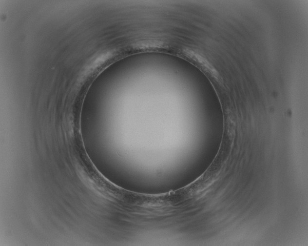 X0000077380631200611031937