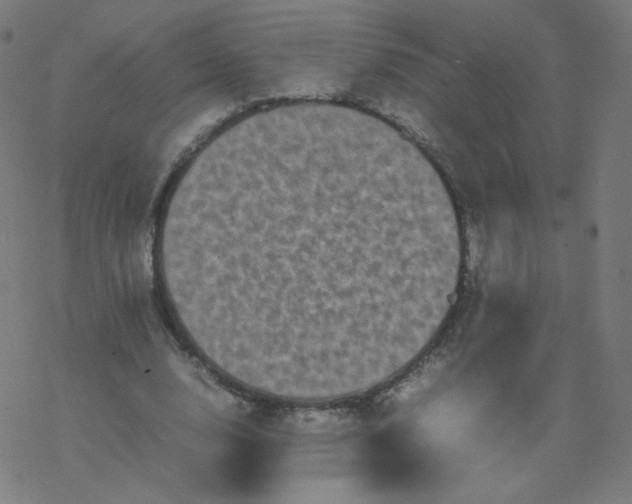 X0000077380632200611031937