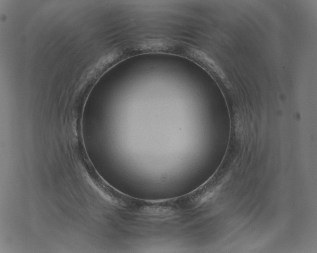 X0000077380633200611031937