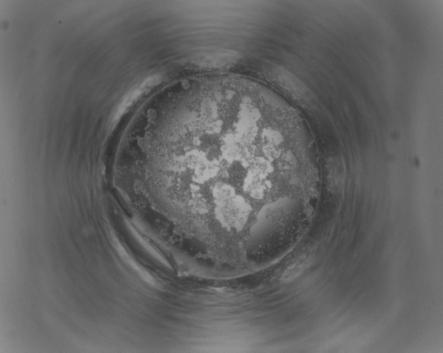 X0000077380634200611031937