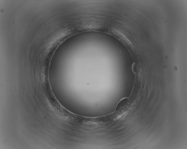 X0000077380635200611031937