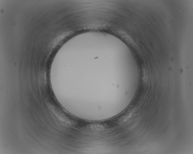 X0000077380636200611031937