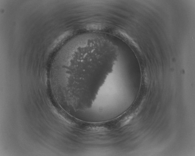 X0000077380637200611031937