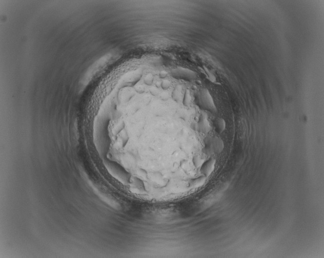 X0000077380638200611031937