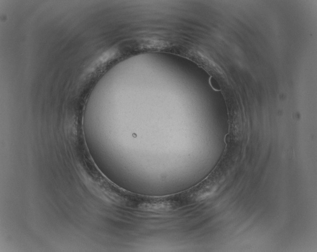 X0000077380639200611031937