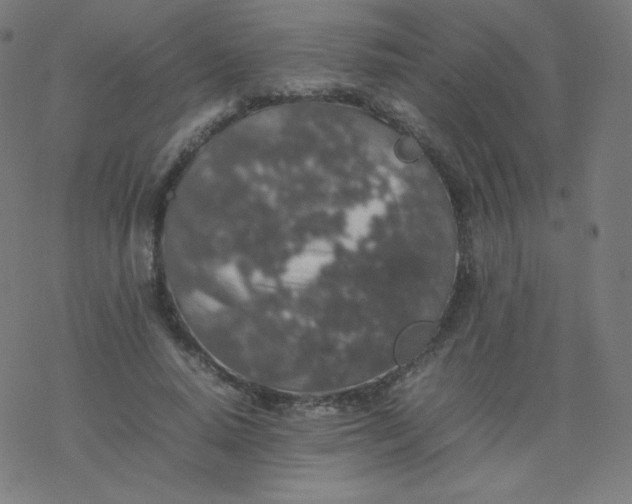 X0000077380640200611031937