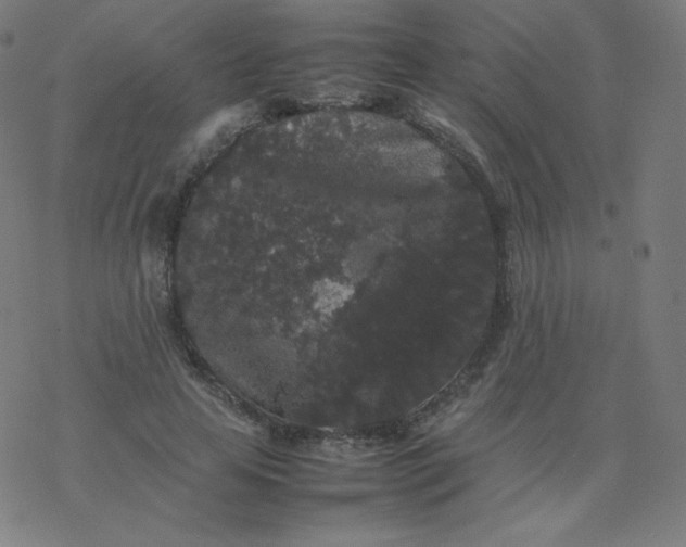 X0000077380641200611031937