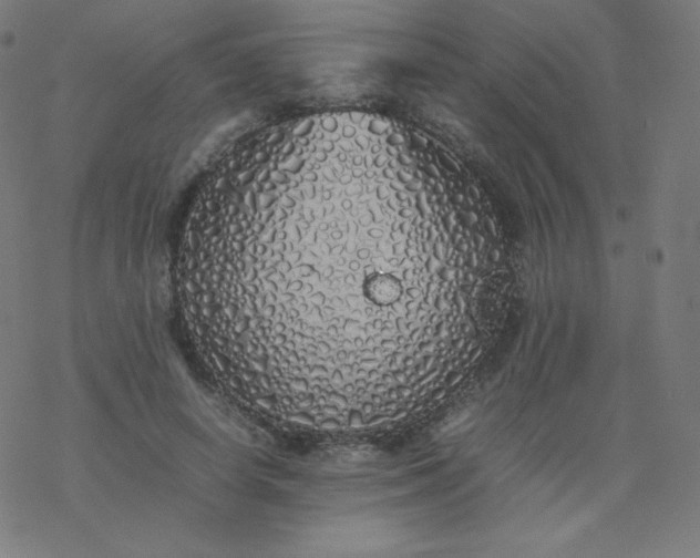 X0000077380642200611031937