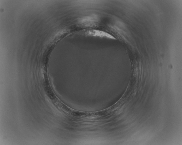 X0000077380643200611031937