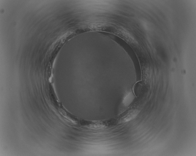 X0000077380644200611031937