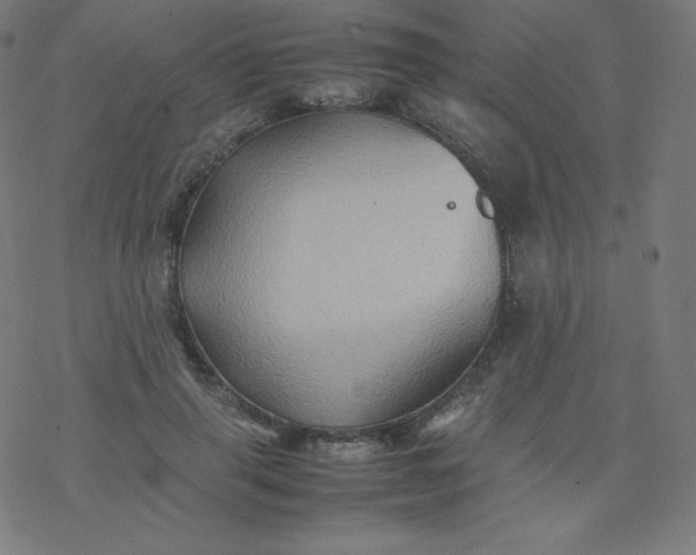 X0000077380645200611031937