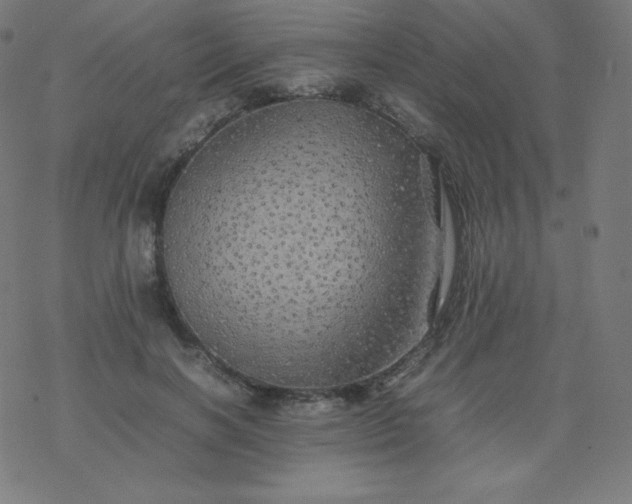 X0000077380646200611031937