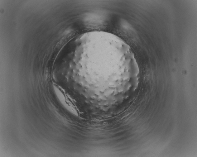 X0000077380647200611031937