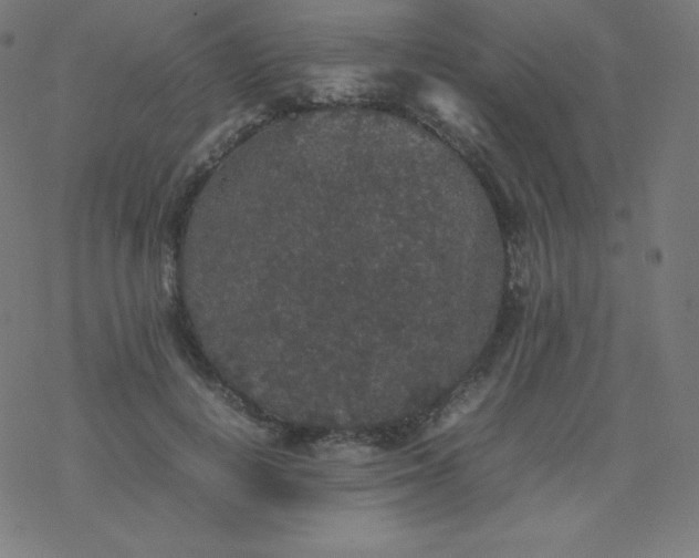 X0000077380648200611031937