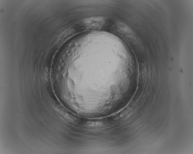 X0000077380649200611031937