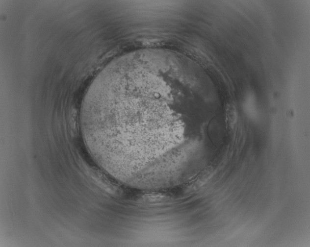 X0000077380650200611031937